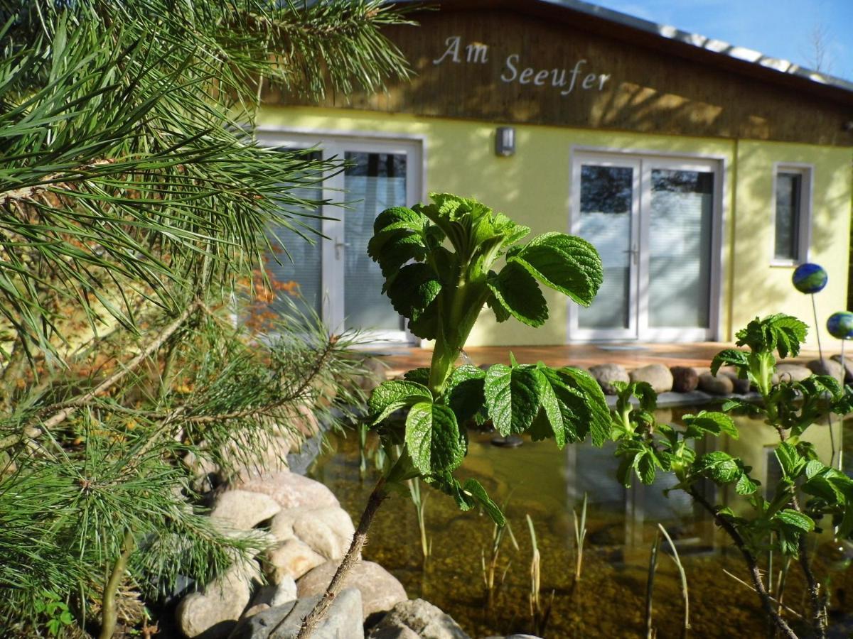 Ferienwohnung Seerose Neppermin Εξωτερικό φωτογραφία